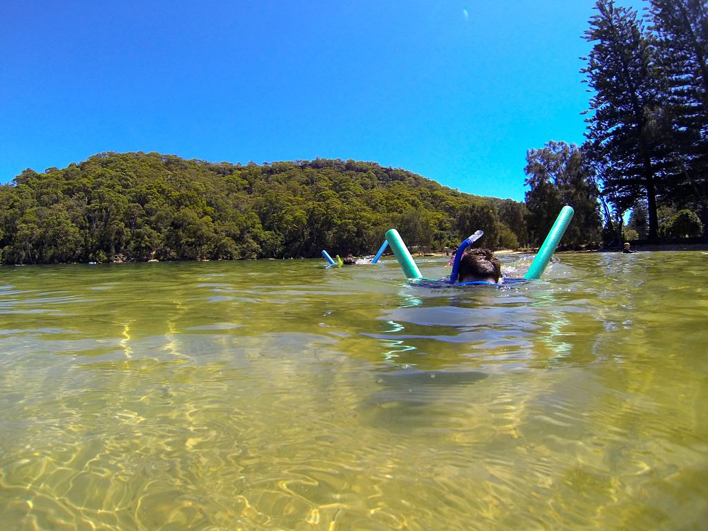 Basin Snorkel for Seas Horses - Ku-ring-gai Chase National Park